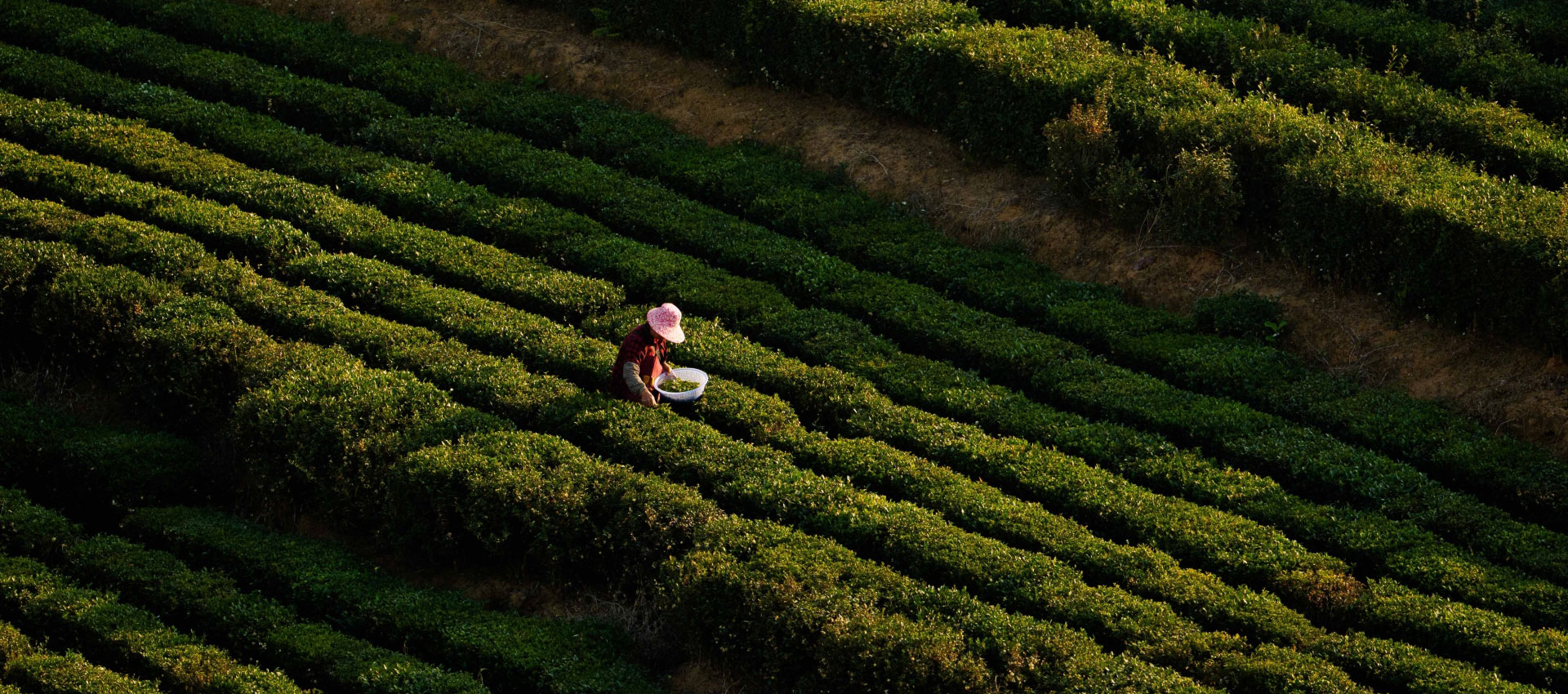 裸心隐乡 naked Home